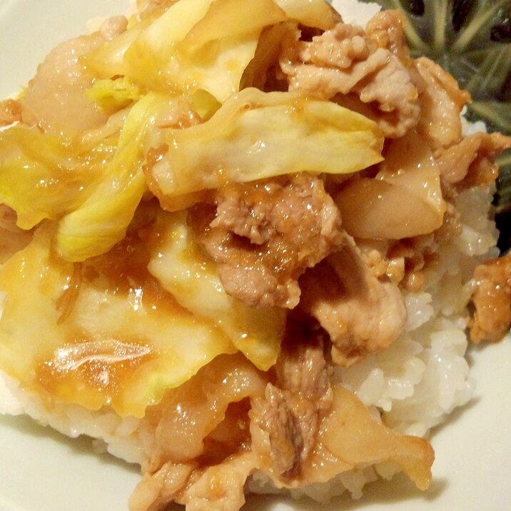 子供もぱくぱく♪オニオン豚キャベツ丼☆